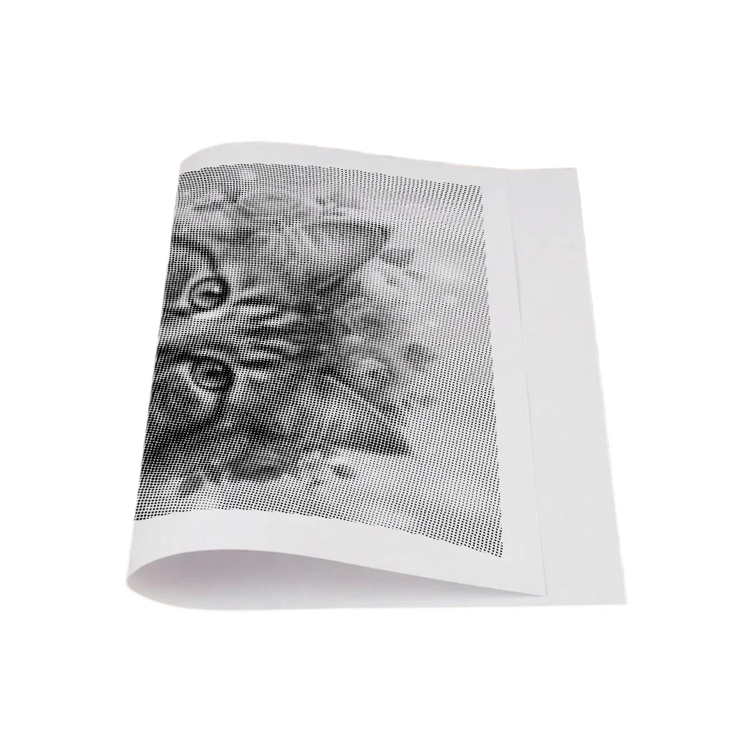 Cat with Flowers Dot Painting