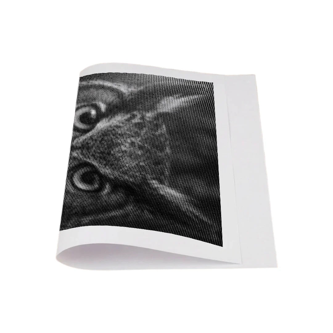 Starring Owl Dot Painting