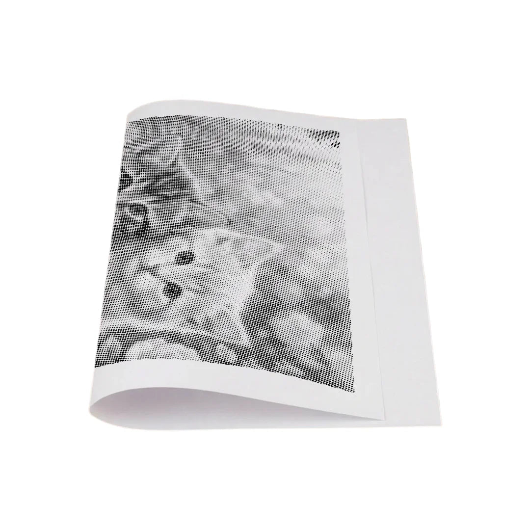 2 Kittens with Flowers Dot Painting