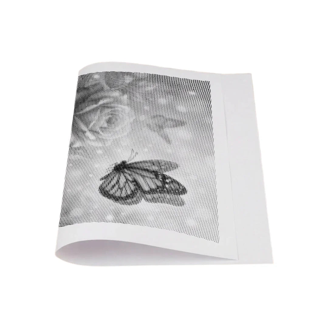 Butterfly with Roses Dot Painting