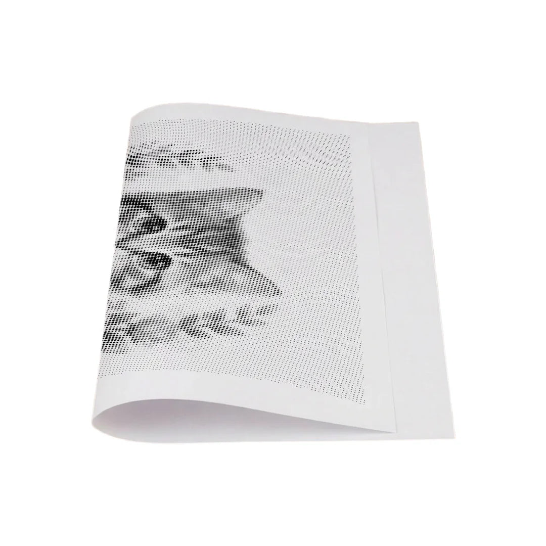 Cat with Flowers 2 Dot Painting