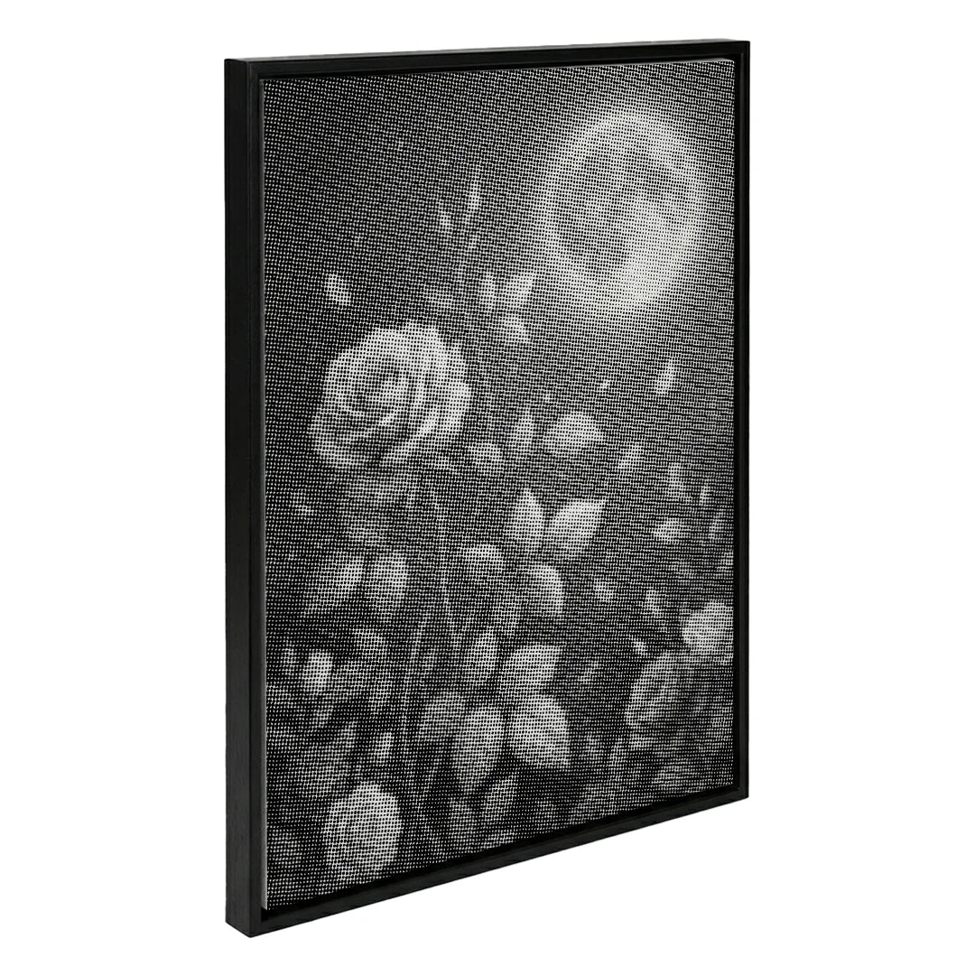 Roses and the Moon Dot Painting