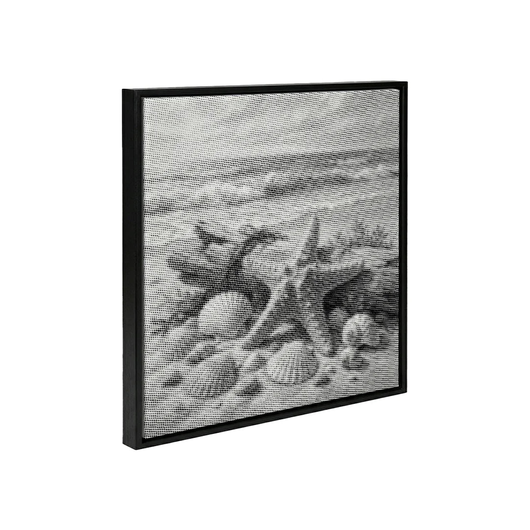 Shells on the Beach Dot Painting