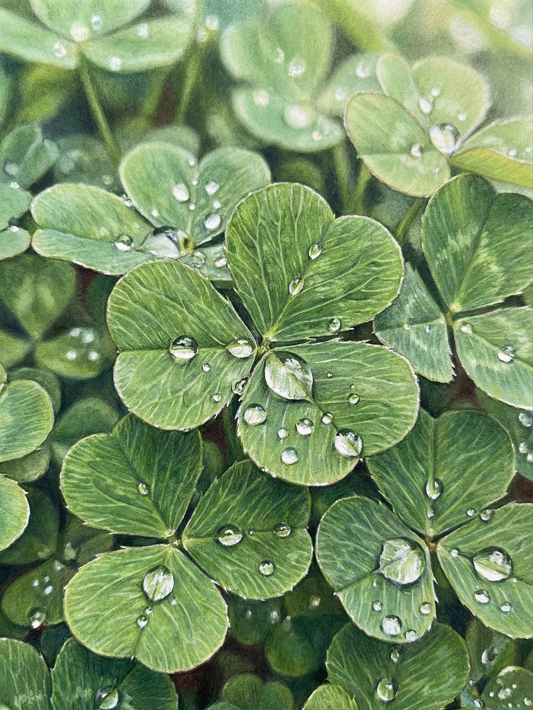 Clover with Water Droplets Dot Painting