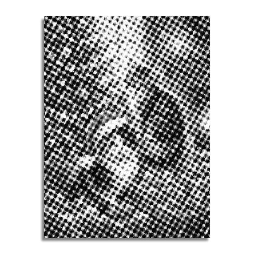 2 Christmascats Dot Painting