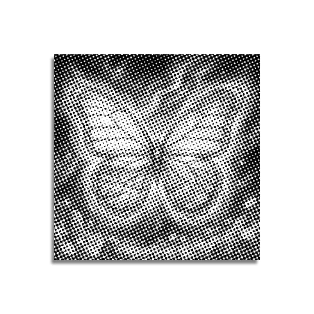 Butterfly of the 4 Seasons Dot Painting