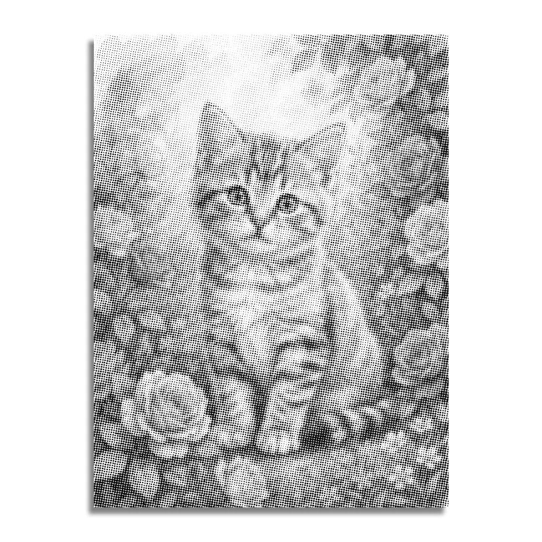 Cat with Flowers Dot Painting