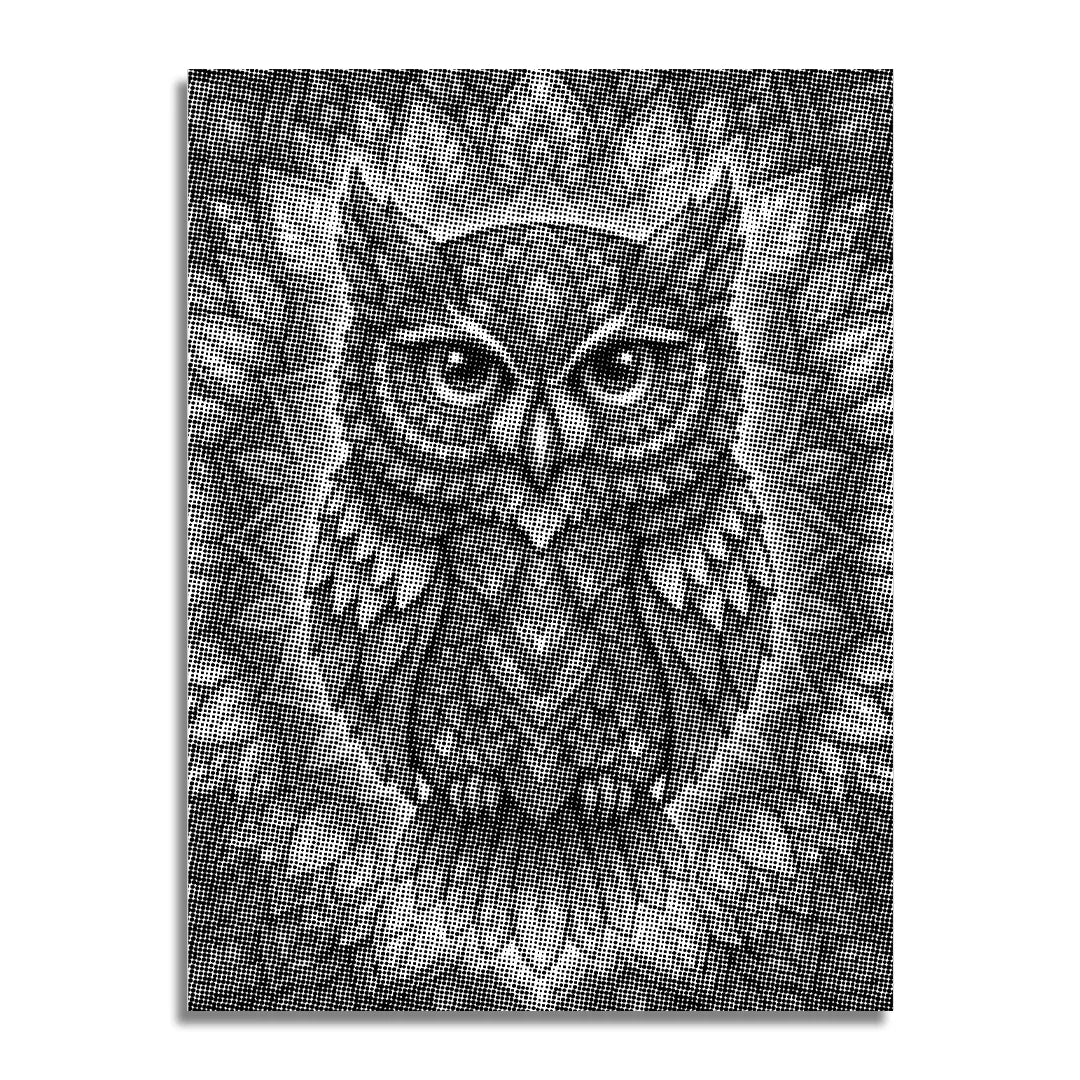 Owl Mandala 2 Dot Painting