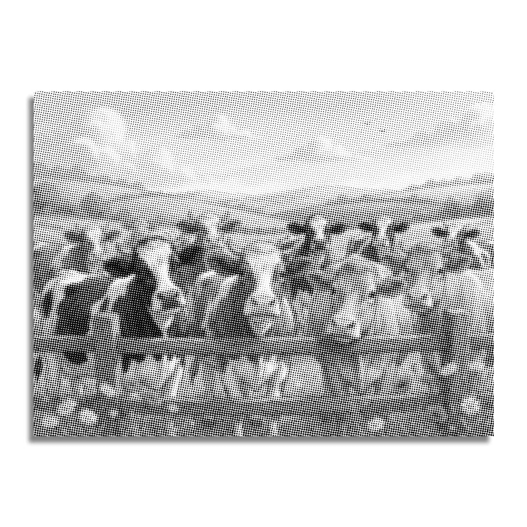 Happy Farm Cows Dot Painting