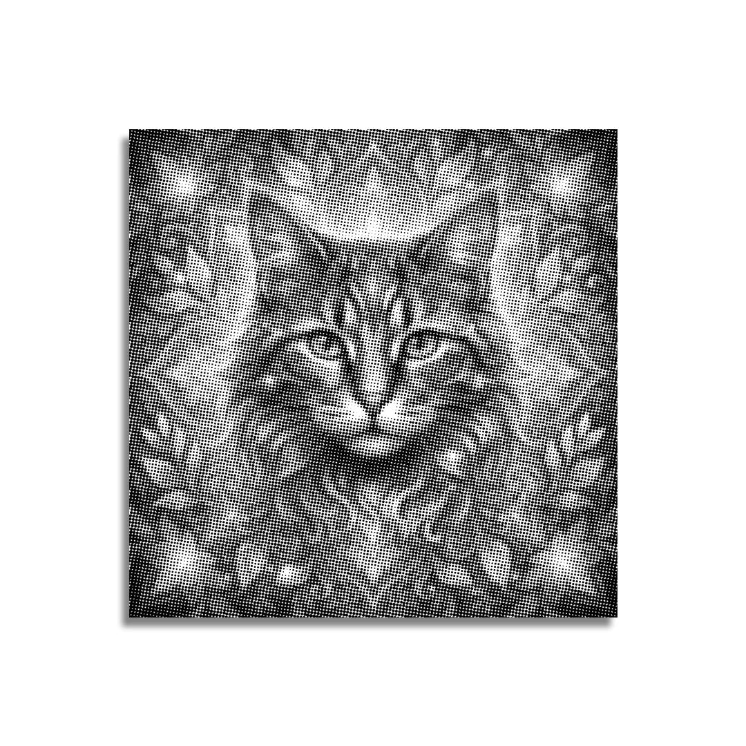 Cat with Flower Dot Painting