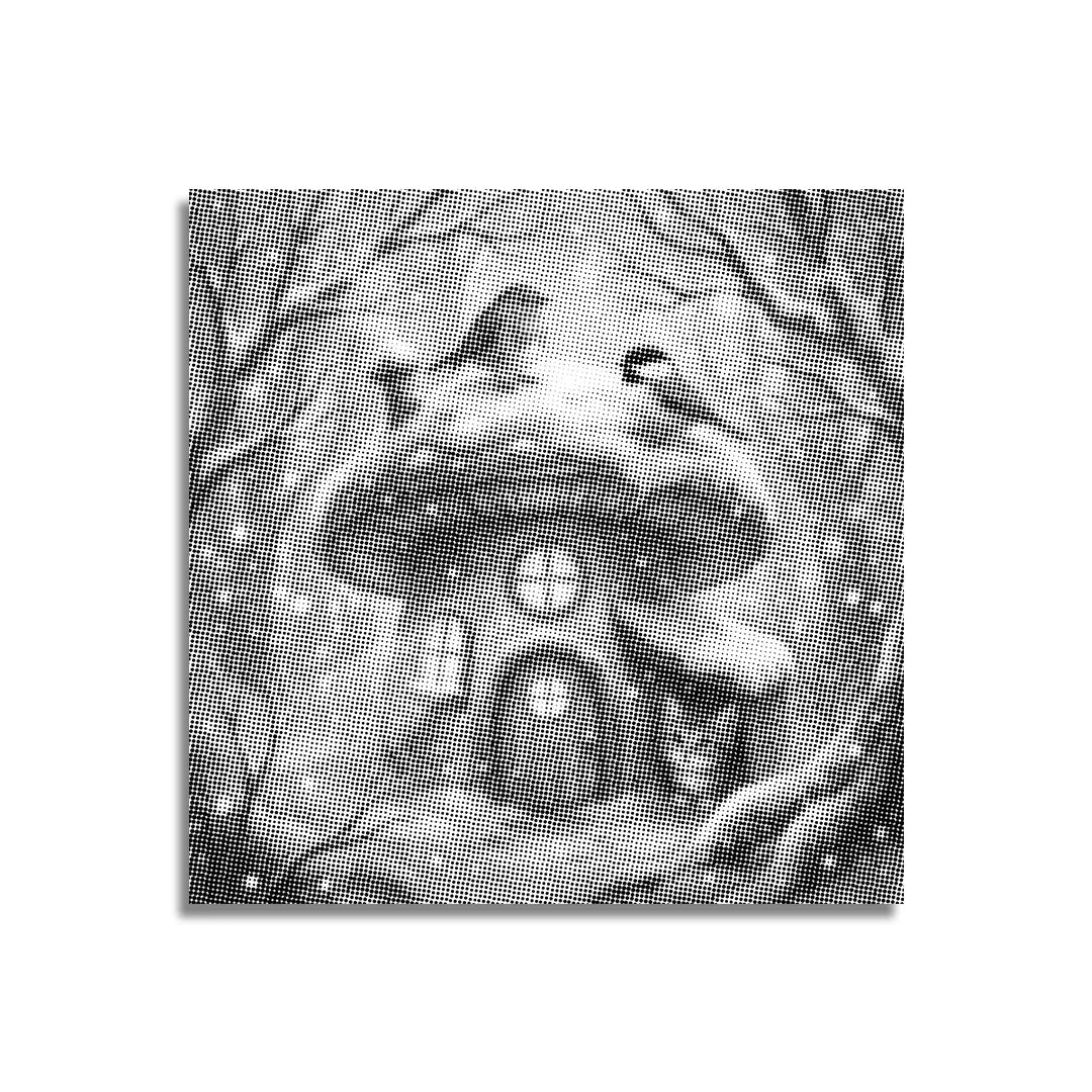 Kitten and Birds in the Snow Dot Painting