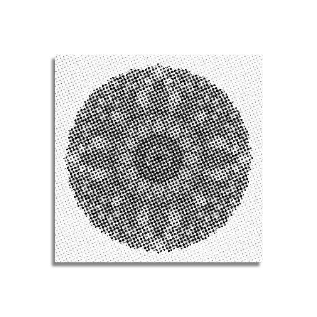 Mandala with Flowers Dot Painting