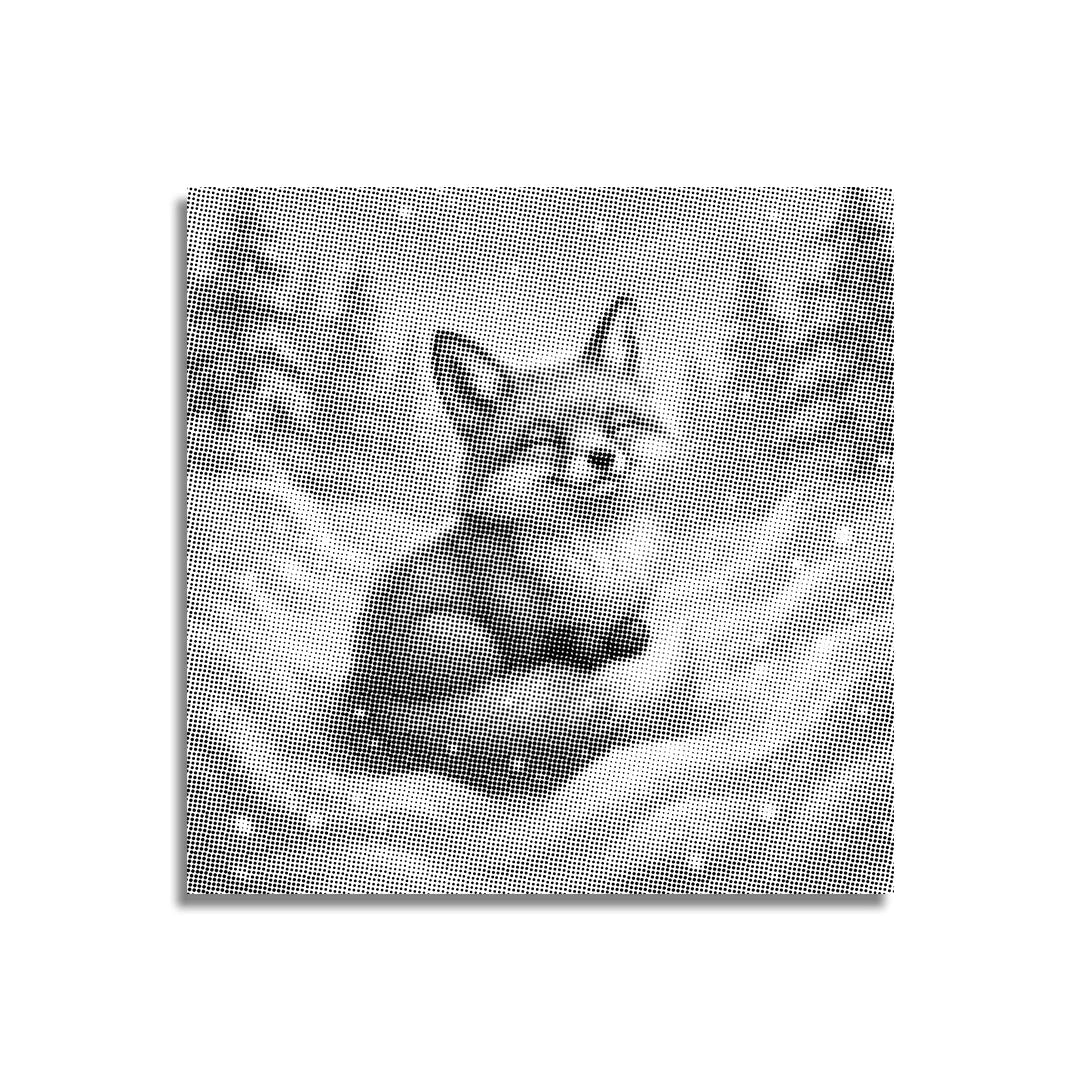 Fox Playing in the Snow Dot Painting