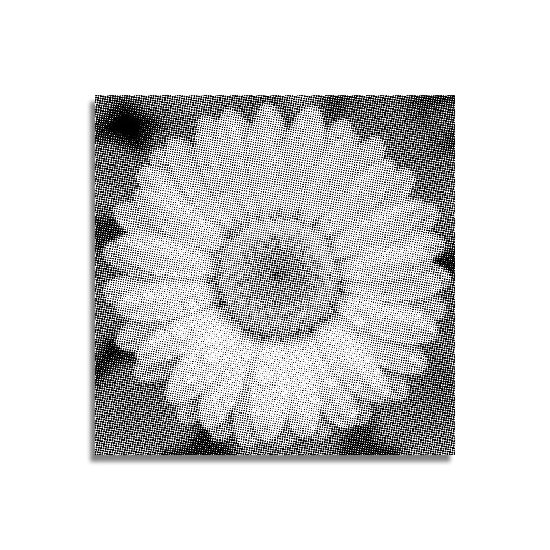 Flower with Water Droplets Dot Painting