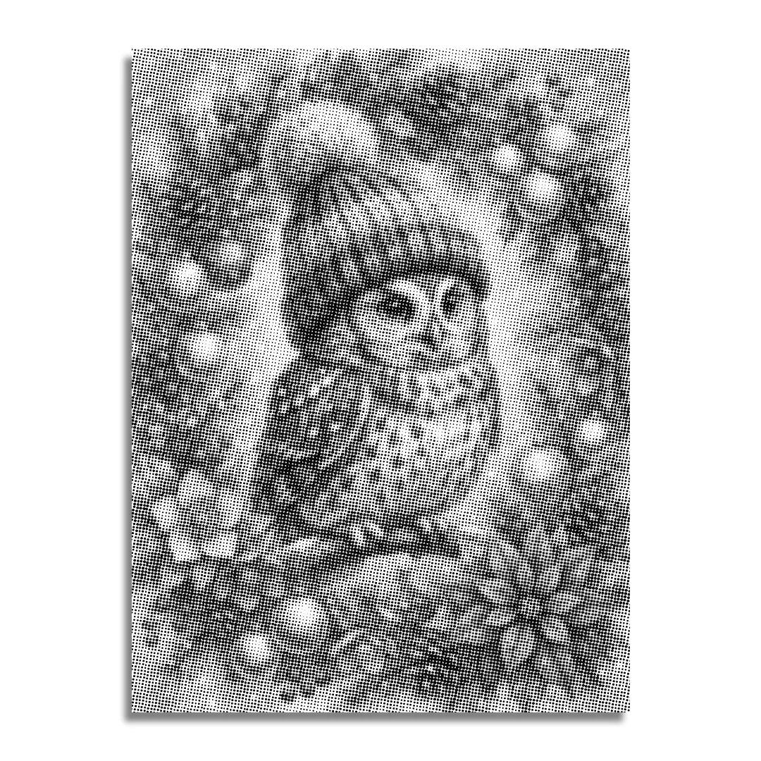Christmas Owl in the Tree Dot Painting