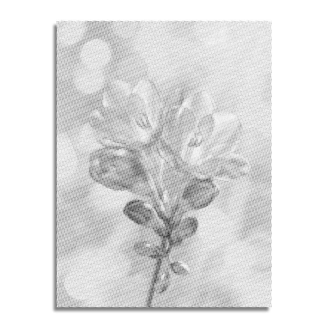 Flower on the Rise Dot Painting