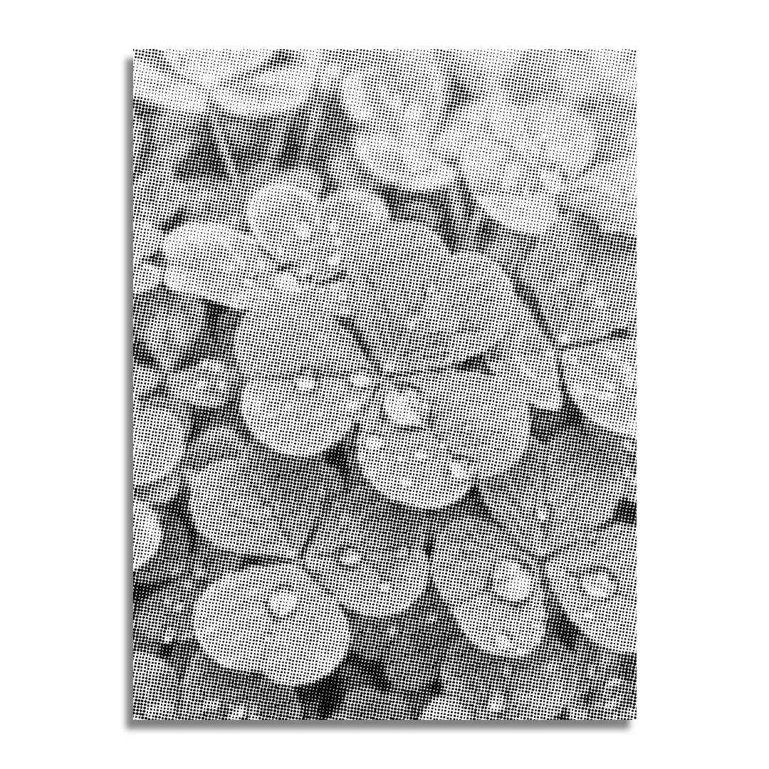 Clover with Water Droplets Dot Painting