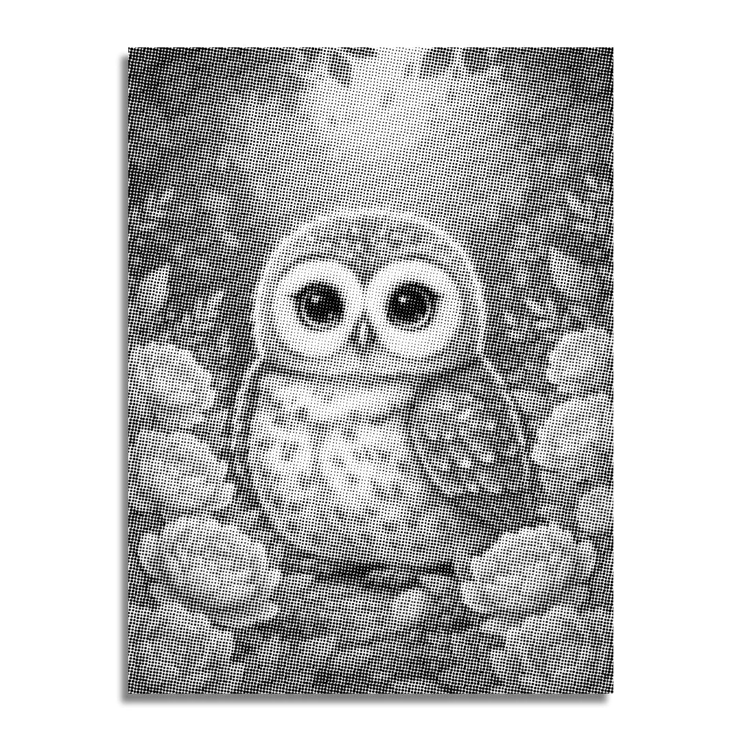 Baby Owl with Flowers Dot Painting