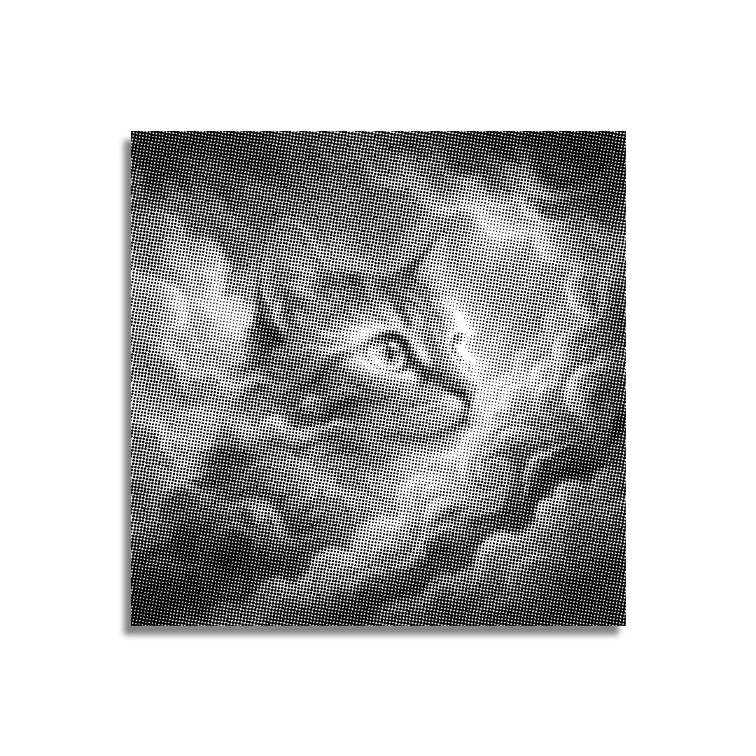 Cloudcat Dot Painting