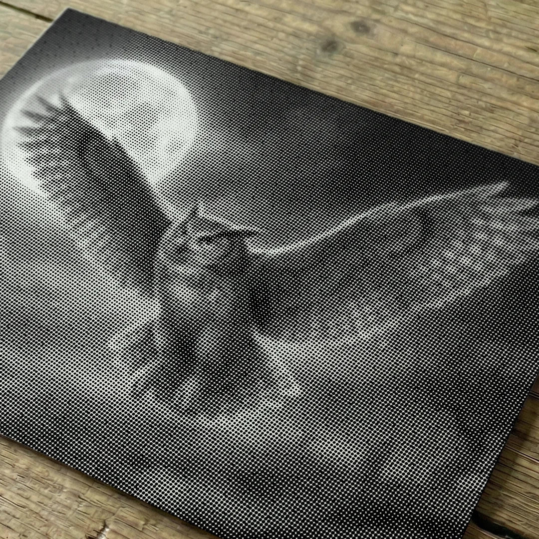 Owl and the Moon Dot Painting