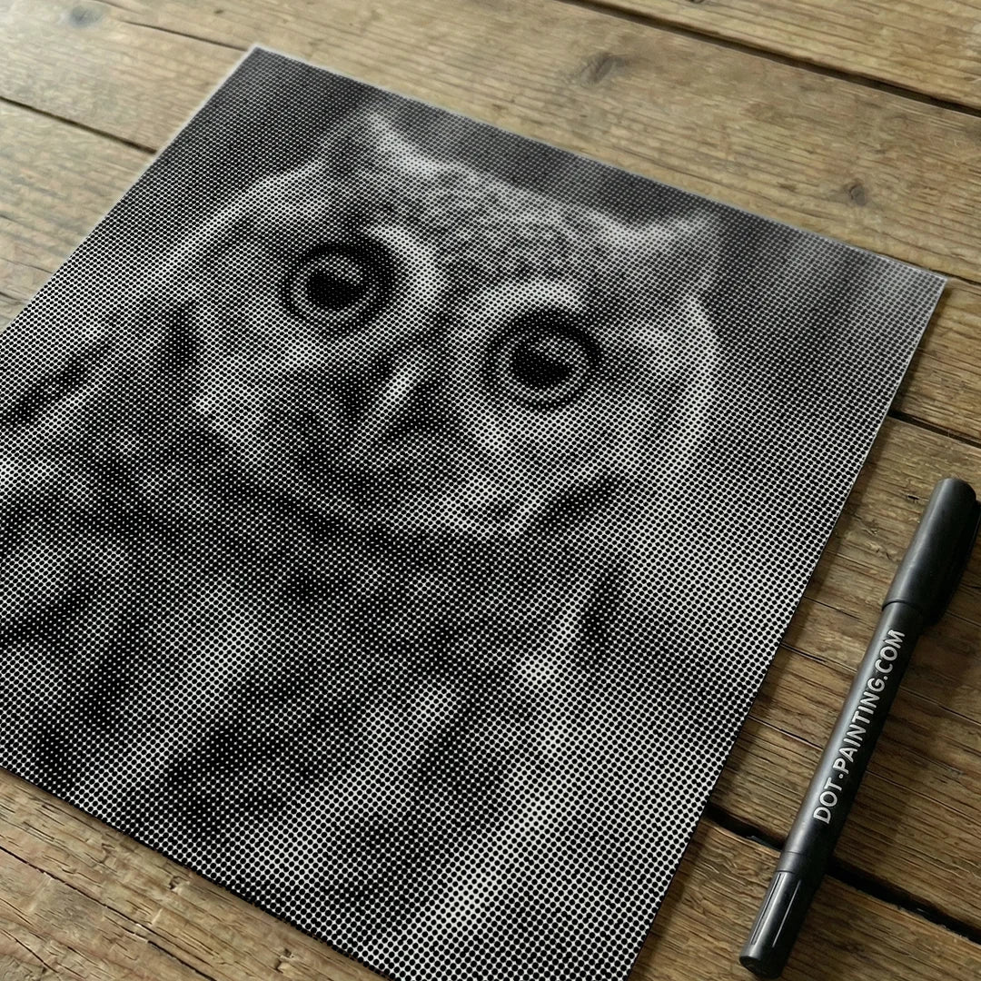 Small Owl with Big Eyes Dot Painting