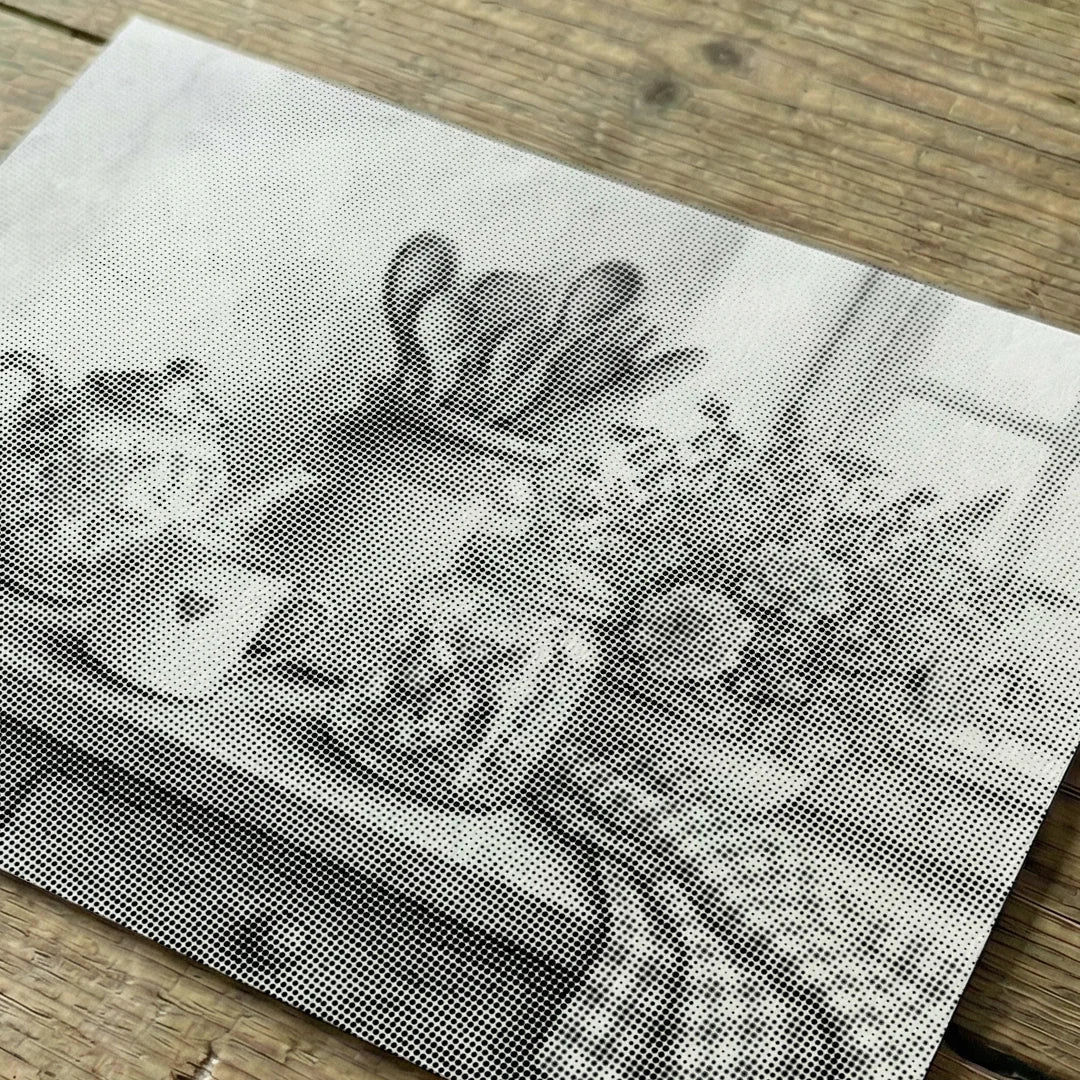 Kitchen Still Life Dot Painting