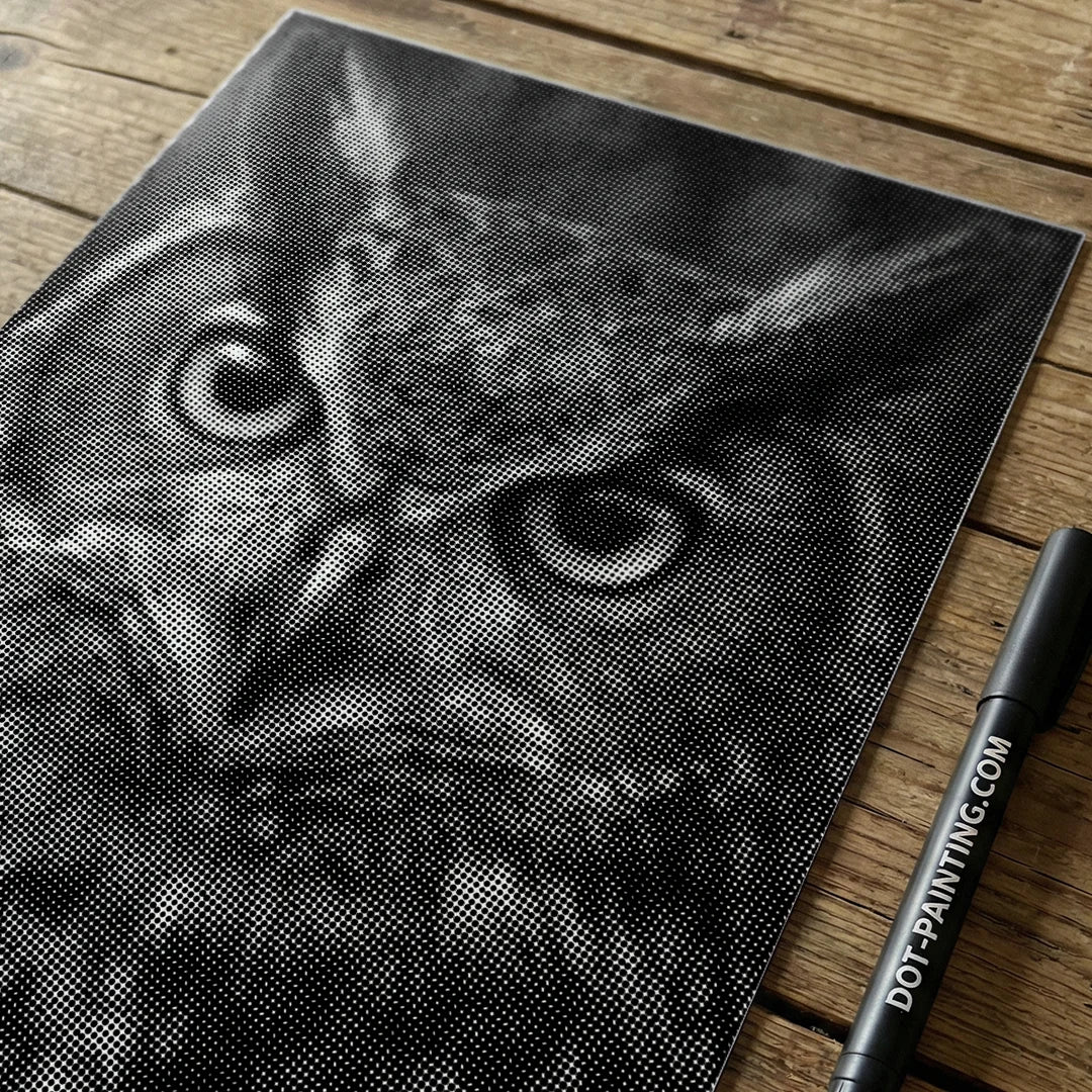 Starring Owl Dot Painting