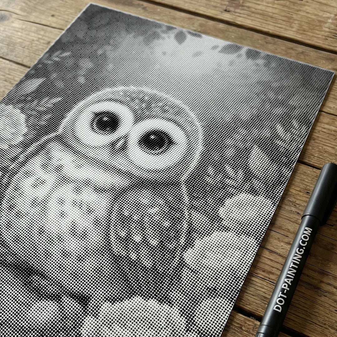 Baby Owl with Flowers Dot Painting