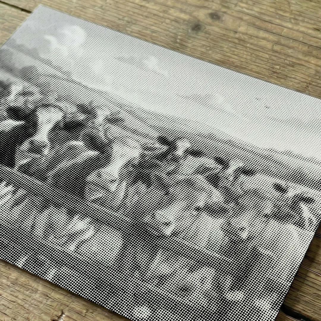 Happy Farm Cows Dot Painting