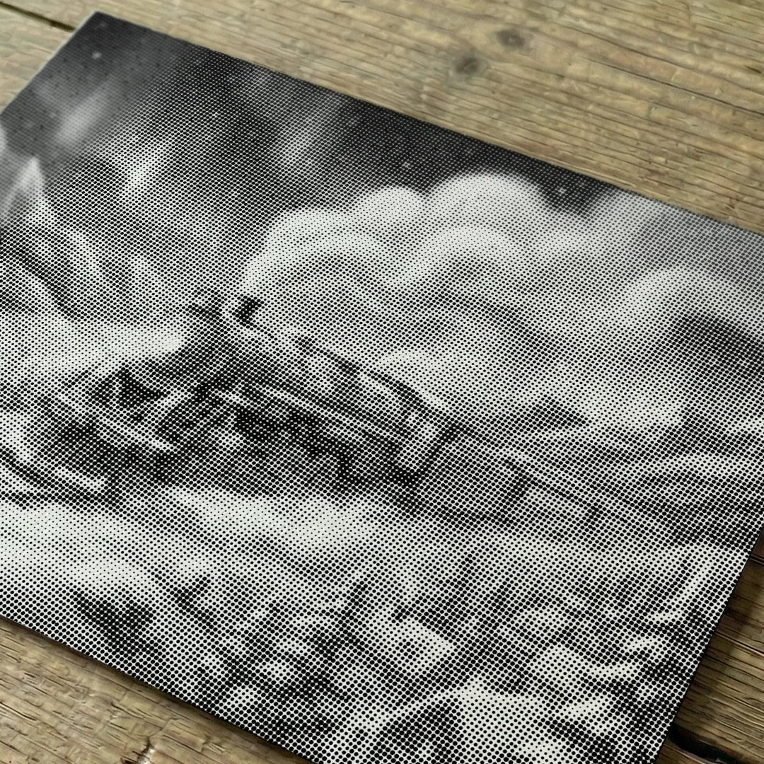 Polar Express 2 Dot Painting