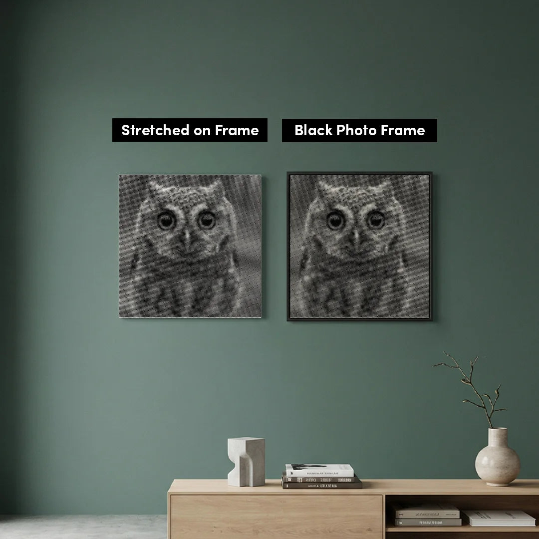 Small Owl with Big Eyes Dot Painting