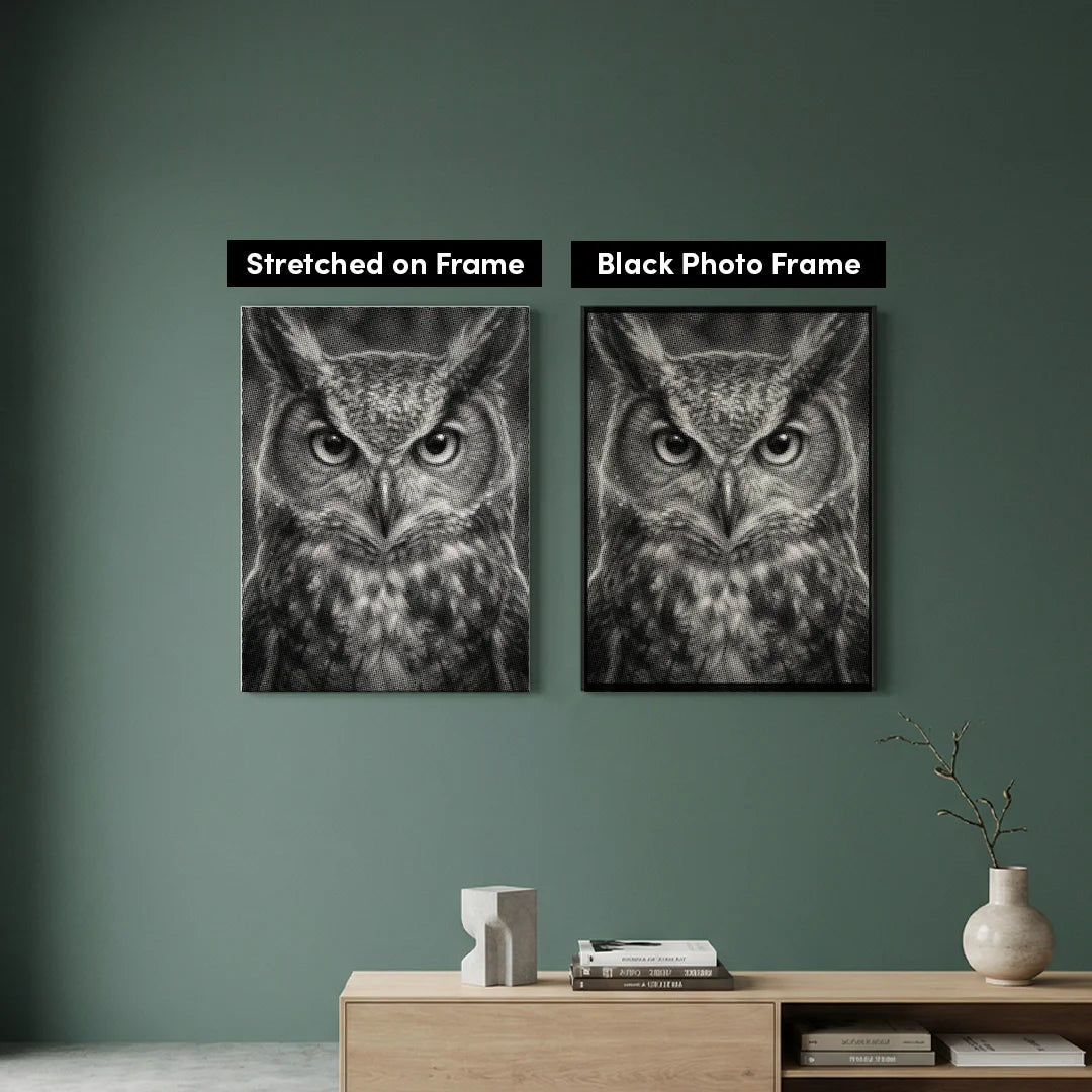 Angry Owl Dot Painting