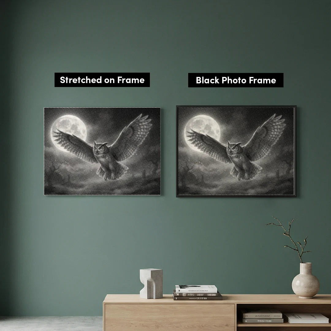 Owl and the Moon Dot Painting