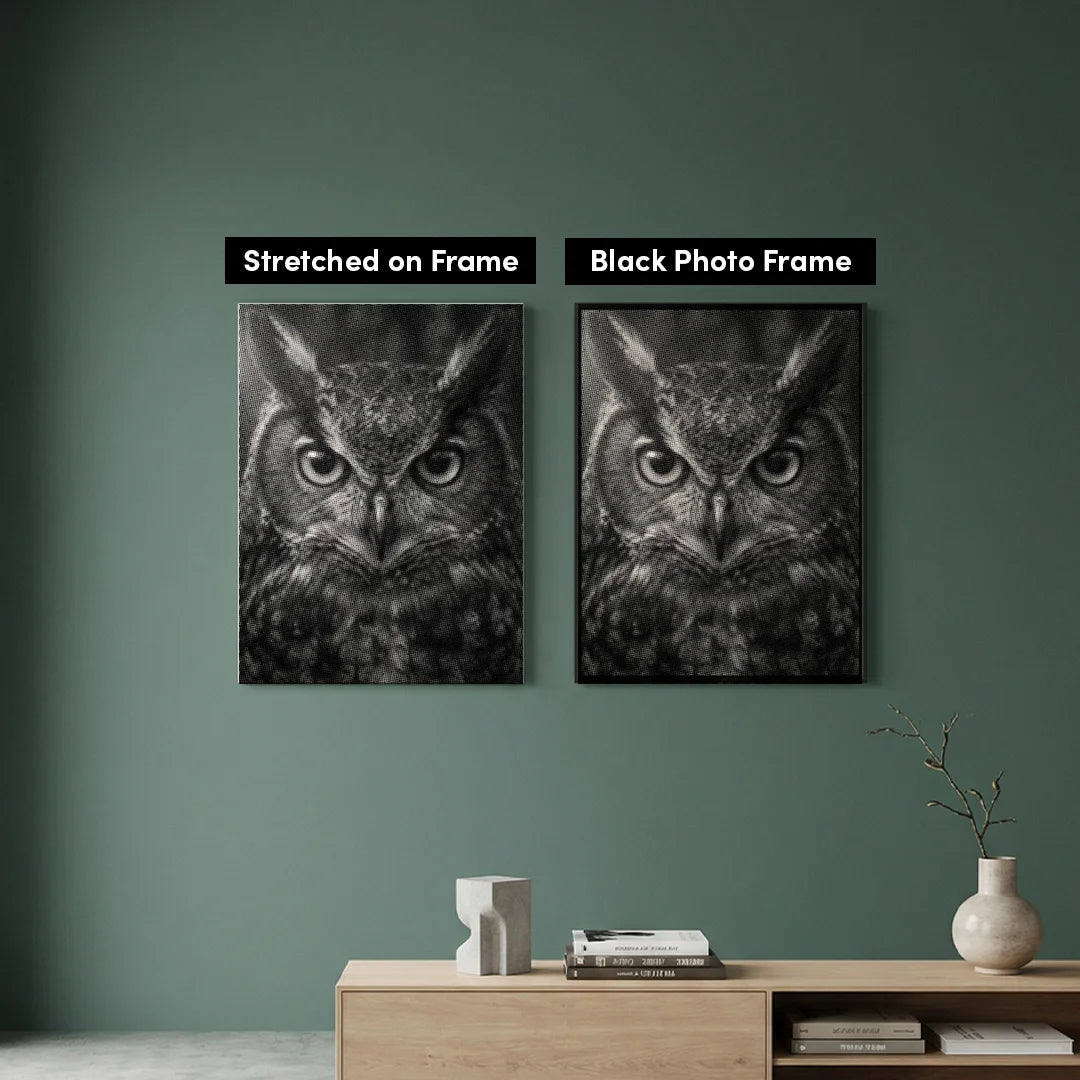Starring Owl Dot Painting
